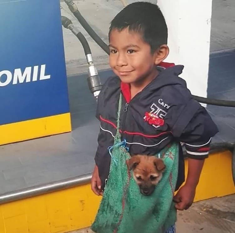 sensivel-mente.com - Imagen de niño humilde que es vendedor ambulante y carga a su perrito en un bolso conmueve a internautas