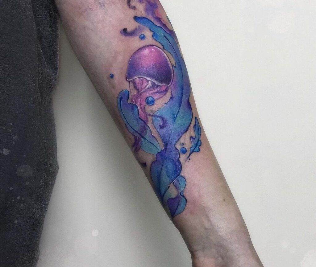 Jellyfish