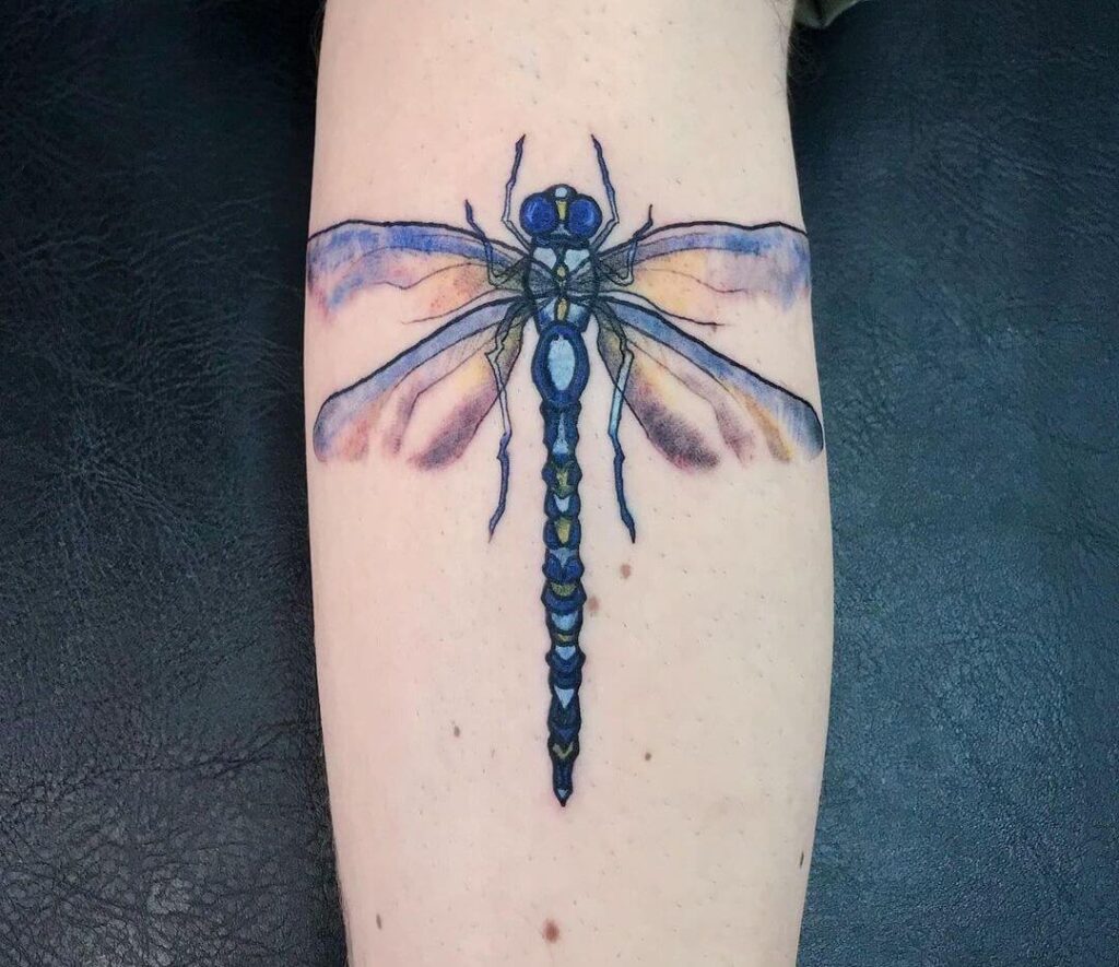 dragonfly