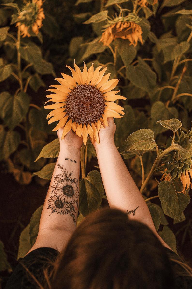 Pin by Jenn Phillips on Tatted up  Sunflower tattoo Sunflower tattoo  design Sunflower tattoo small