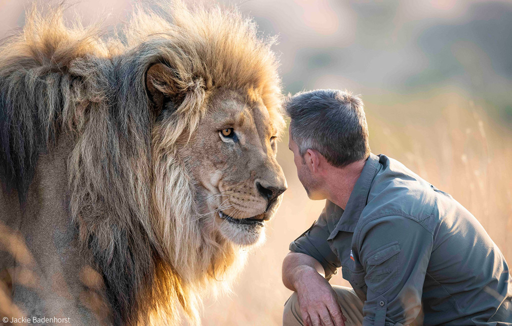 Kevin Richardson, el "susurrador de leones": preguntas difíciles y respuestas francas - Africa Geographic