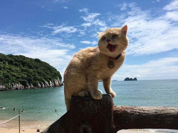 Meet The Cutest Fish Vendor In Vietnam Who Is Taking The Internet By Storm With His Adorable Pics