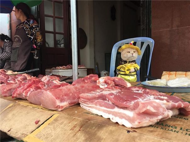 Meet The Cutest Fish Vendor In Vietnam Who Is Taking The Internet By Storm With His Adorable Pics