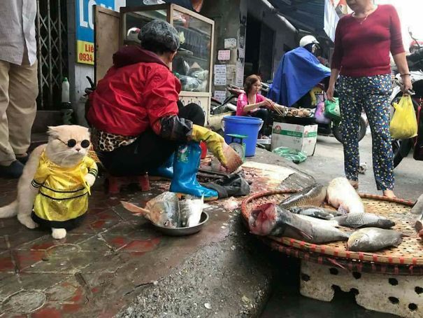 Meet The Cutest Fish Vendor In Vietnam Who Is Taking The Internet By Storm With His Adorable Pics