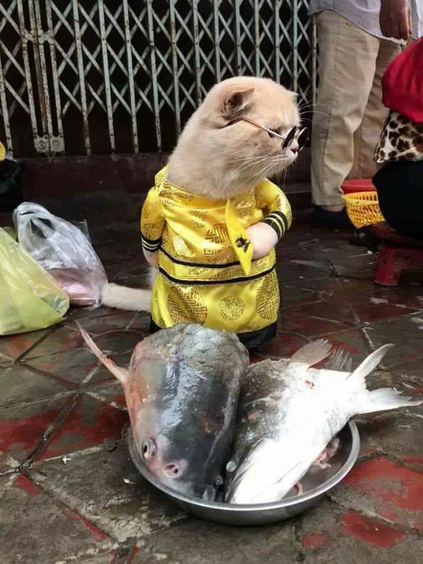 Meet The Cutest Fish Vendor In Vietnam Who Is Taking The Internet By Storm With His Adorable Pics