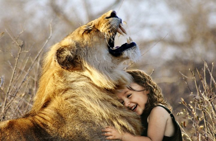 Taigan Lion Park- Where lions hug Tourists.