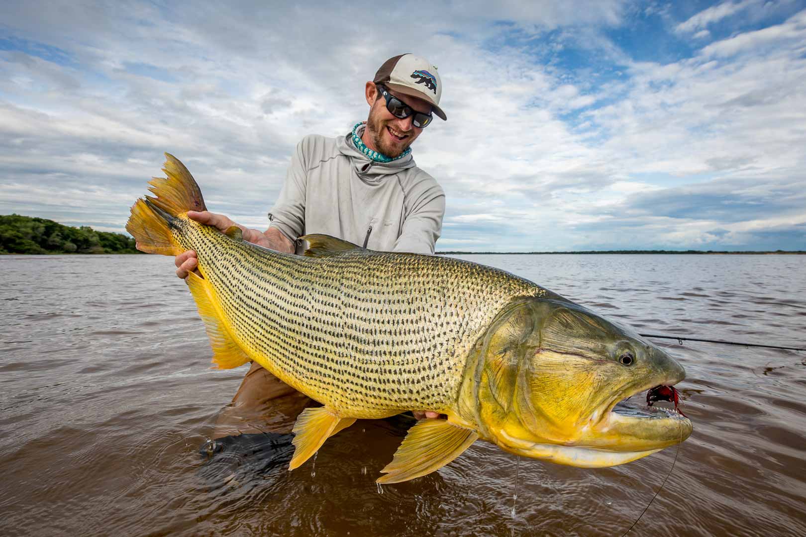 Technical Fishing for Golden Dorado | Nervous Waters