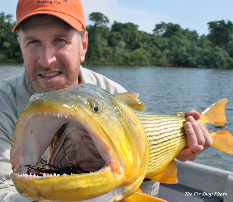 Golden Dorado Fly Fishing - Dorado Fly Fishing Lodges